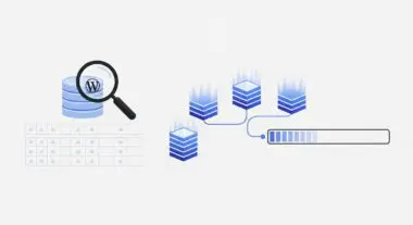 Magnifying glass over database stacks indicating search and filtering with FacetWP.