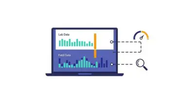 Laptop displaying lab and field data charts, connected to speed and search icons, symbolizing Google PageSpeed Insights.
