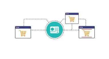 Diagram showing a central hub connecting to multiple shopping carts, illustrating payment gateway integration.