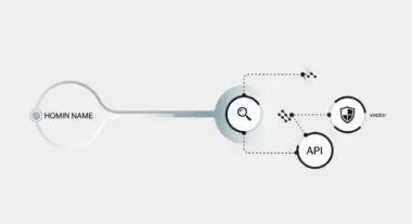 Diagram showing a domain name connecting to a search icon and then to an API and shield icon, illustrating TXT Record lookup.