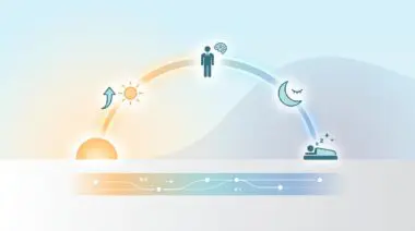 Diagram illustrating the evening routine of a billionaire for optimal sleep, showing day, human, and night cycles.