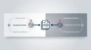 Illustration showing duplicate URLs with different casing causing SEO errors.