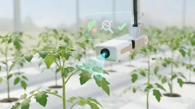 Edge AI camera scans crop leaves, detecting disease for instant treatment plans.